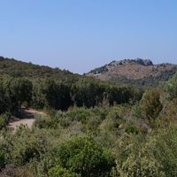 Photo de France - La randonnée du lac des Olivettes